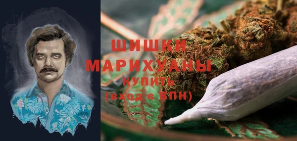 МДПВ Бердск