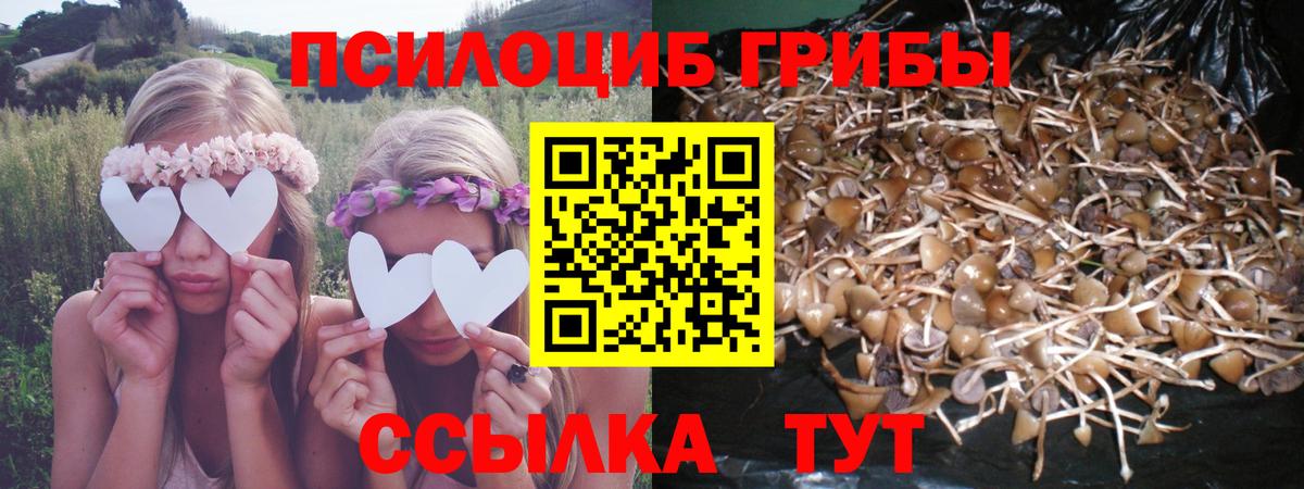 Галлюциногенные грибы ЛСД Батайск