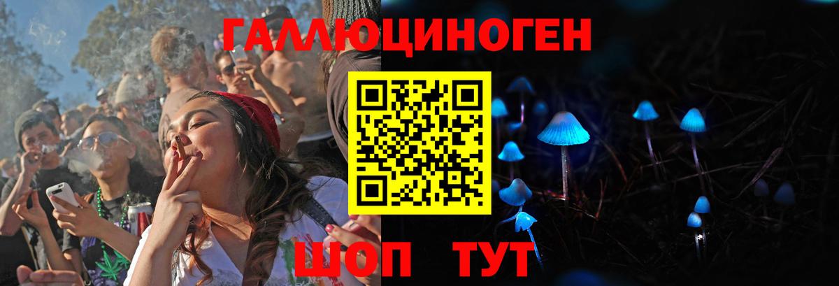 Псилоцибиновые грибы мицелий  Псилоцибиновые грибы Cubensis  Вход с VPN  Батайск 